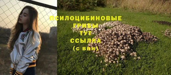 дмт Балахна